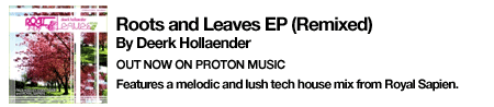 Deerk Hollaender - Roots and Leaves EP Remixed
